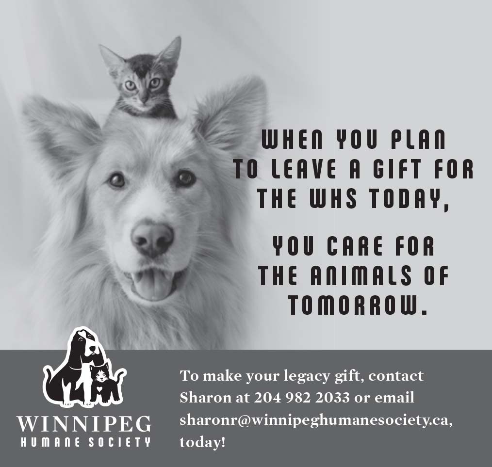 Winnipeg Free Press ad - Small kitten sitting on top of large dog - "When you plan to leave a gift for the WHS today, you care for the animals of tomorrow."