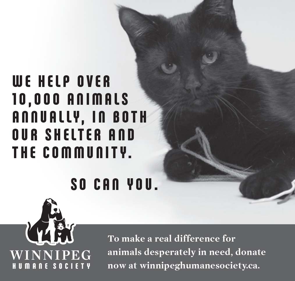 Winnipeg Free Press ad - Black cat - "We help over 10,000 animals annually, in both our shelter and the community. So can you."